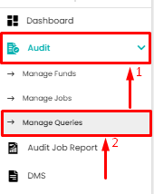 audit-manage-queries