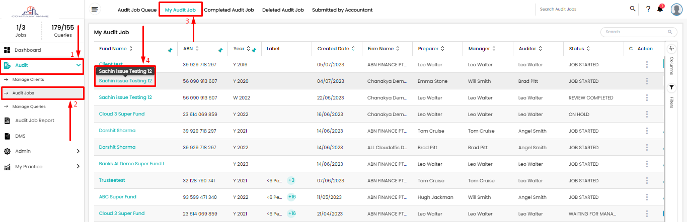 view-audit-file-from-my-audit-job