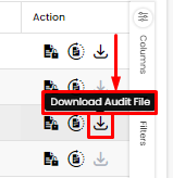 download-audit-file