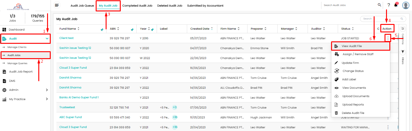 view-audit-file-frommy-audit-job-action-button